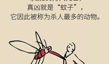 蚊子漫画,幽默揭示夏日烦扰